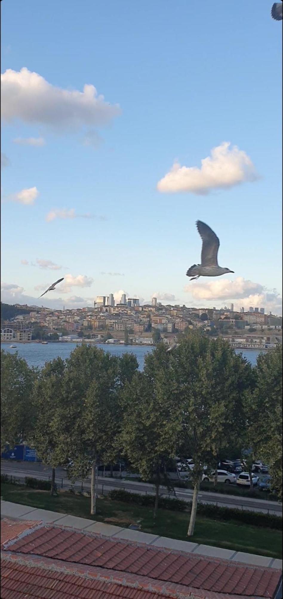 An Near The Sea * İstanbul