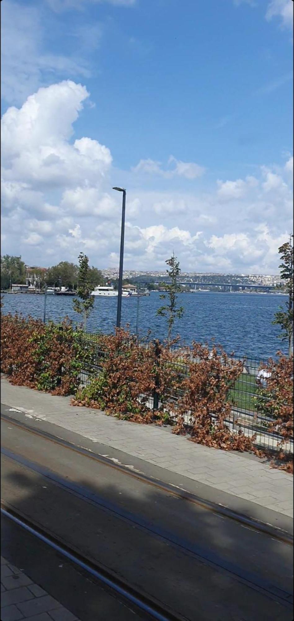 An Near The Sea Daire *